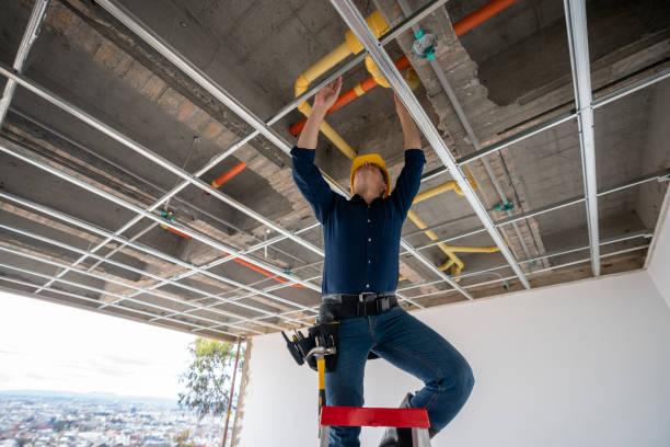 Best Plumbing Services Near Me  in Romeo, MI